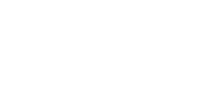 Six Sigma DSI